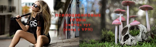 mix Богородицк