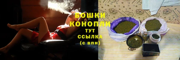 mix Богородицк
