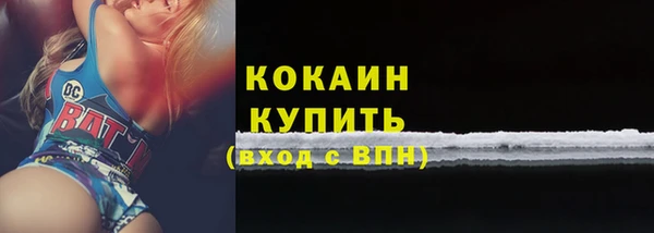 mix Богородицк