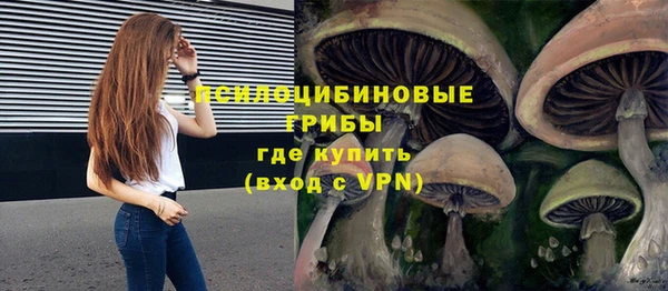 mix Богородицк