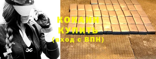 mix Богородицк