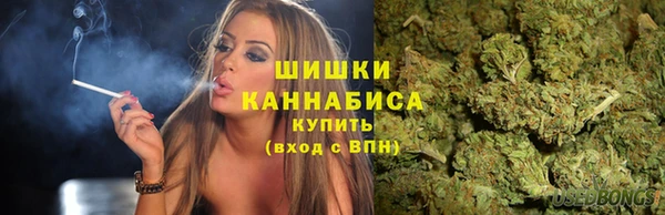 mix Богородицк